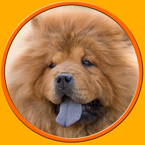amazing dogs for kids - no ads icon