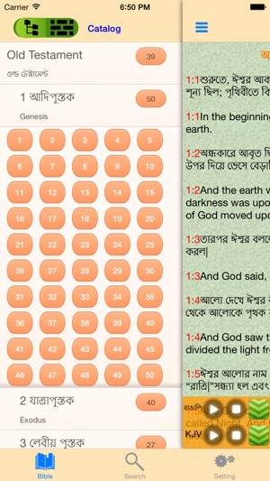 Bengali-English Bilingual Audio Holy Bible Offline(圖2)-速報App