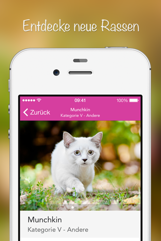 iKnow Cats 2 PRO - Cat Breed Guide screenshot 3
