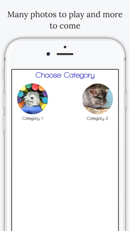 Find the Difference in Chinchilla screenshot-4