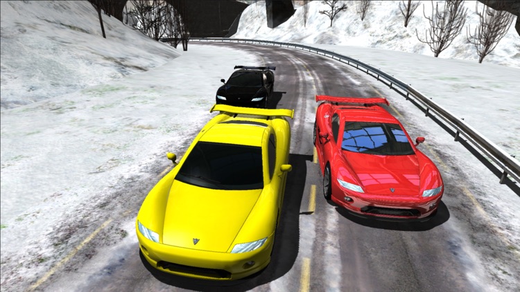 Sports Cars Racing Winter