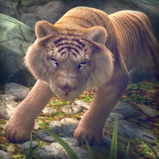 Tiger Run | Animal Simulator Games For Children Free icon