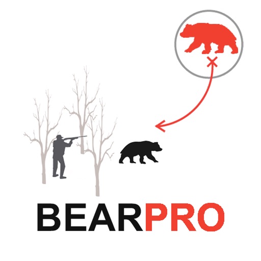 Bear Hunting Strategy Bear Hunter Plan for PREDATOR HUNTING