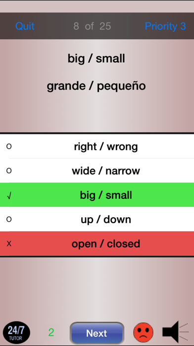 Spanish Vocabulary 24/7 Screenshot 4