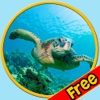 amazing turtles for kids - free