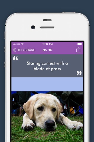 Cat Dog Leaderboard - Popular Dog & Cat Pics At The Moment screenshot 3