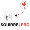 Squirrel Hunting Strategy Squirrel Hunter Plan