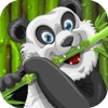 Panda Boo Jump Game of Taichi and Kung Fu Master