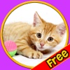 exceptionnal cats for kids - free