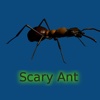 Scary Ant