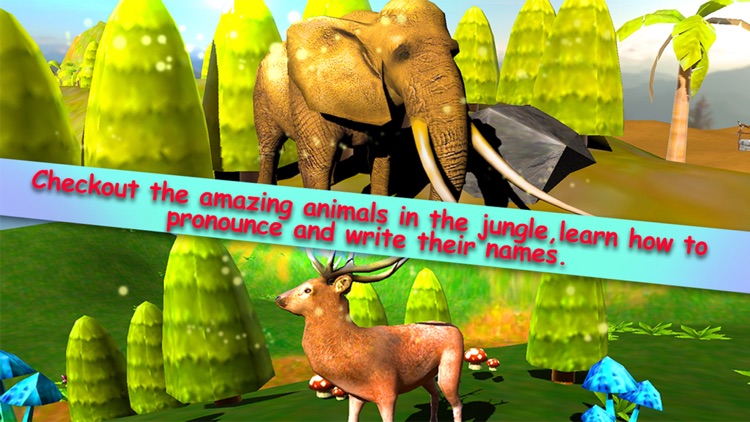 Jungle Animals in the Zoo : Let Your kid learn about Zebra, Lion, Dog, Cats & other wild animals - PRO