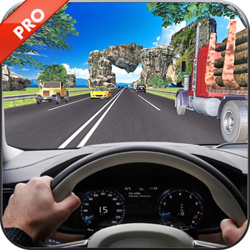 Drive In Car On Highway Pro icon