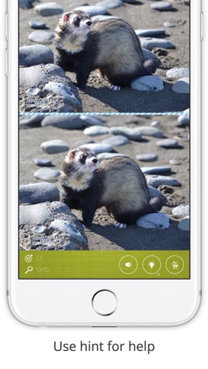 Find the Difference in Ferret(圖2)-速報App