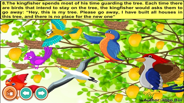 Kingfisher and woodpecker (story and games for kids)(圖2)-速報App