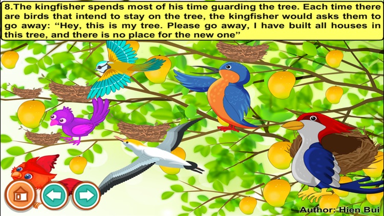 Kingfisher and woodpecker (story and games for kids)