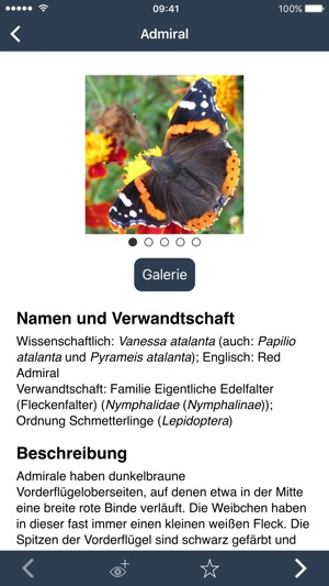 Naturbeobachten in Wien(圖2)-速報App