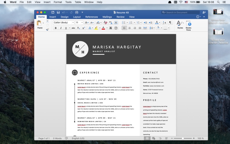 Template for Word Pro thumbnail 4