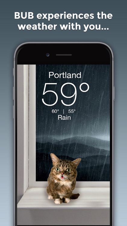 Weather BUB