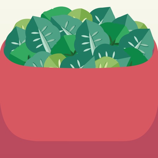 Salad Shake Icon