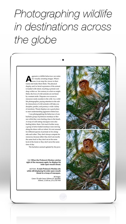 Wildlife Photographic Magazine screenshot-4