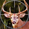Jungle Animal Hunting Reloaded - Sniper Hunter