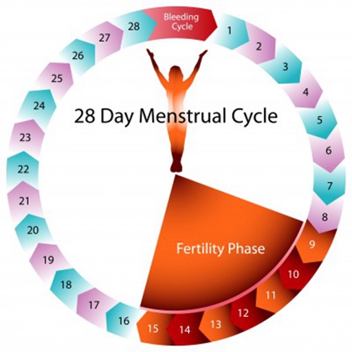 The Menstrual Cycle:How to Relieve Dysmenorrhea icon