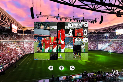 Boxter VR - Euro 2016 edition screenshot 4