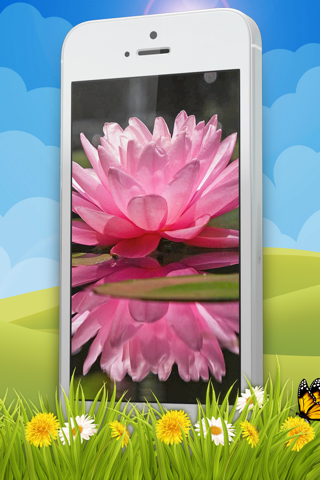 Flower Wallpaper – Pretty Screen Lock.er And Floral Background Picture.s screenshot 2