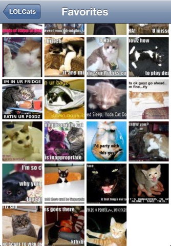 LOLCats - Funny Cat Pics screenshot 2