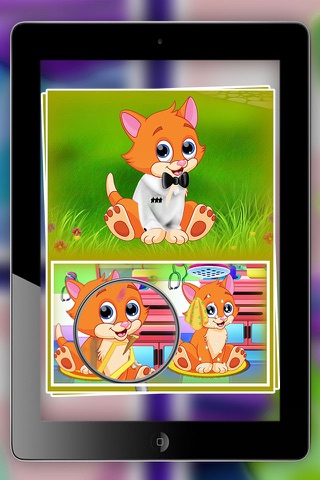 Kittens - Little  virtual animal  care - care & dress up kids game screenshot 2