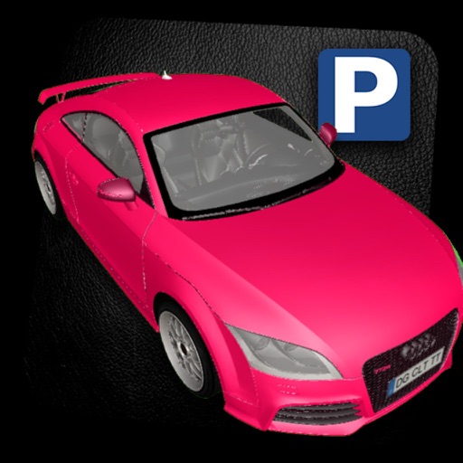 Sport Car Parking & Simulation Icon