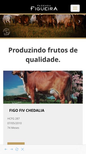 Fazenda Figueira