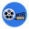 Any MKV Converter Pro pour PC