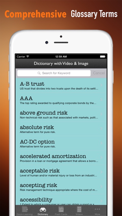 Business Disaster Planning and Risk Management Quick Reference: Dictionary with Video Lessons and Cheat Sheets