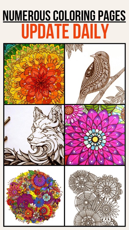 Download Colorfit Adult Coloring Book Secret Garden By Yu Dong