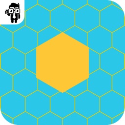 Fit The Hexagon