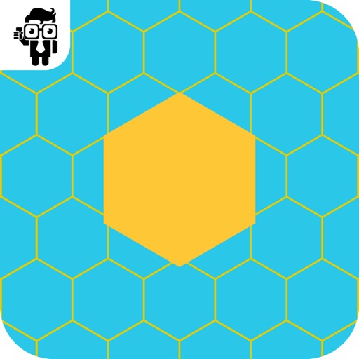 Fit The Hexagon iOS App