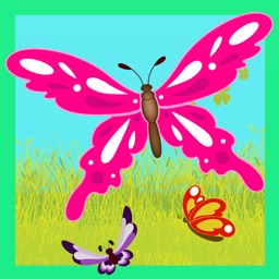 Butterfly Coloring Book Drawing and Painting Colorful