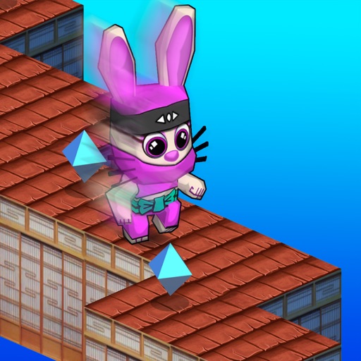 Bunny Rabbit Ninja Jumping Run 3D - Endless animal run