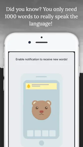 Game screenshot Bear - Learn new German words from push notifications everyday mod apk