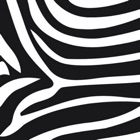 Top 22 Lifestyle Apps Like Zebra Print Wallpapers - Best Alternatives