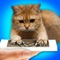 Claw Sharpener Cat Prank