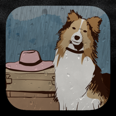 Activities of Story of a stray dog (A Touching Comic)