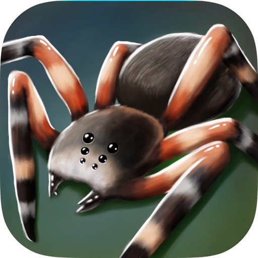 My Pet Spider 3D Sim icon