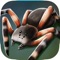 My Pet Spider 3D Sim
