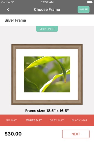 FrameMe.com screenshot 2