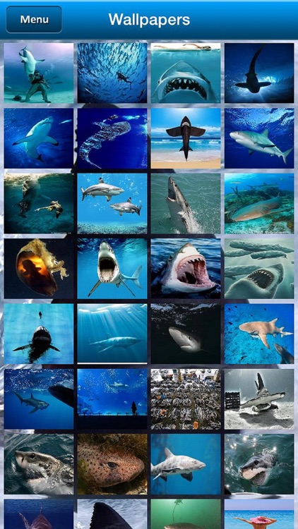 Shark Bytes NoAds screenshot-3