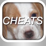 Cheats for Close Up Animals  All Answers to Cheat Free