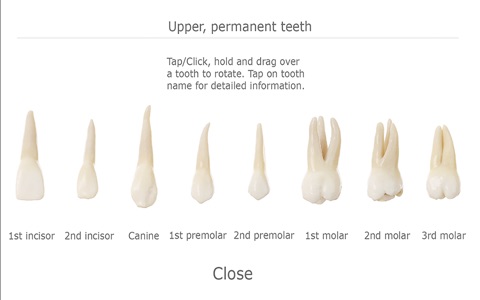 Tooth Guide Lite screenshot 4