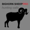 REAL Bighorn Sheep Hunting Calls -- 8 Bighorn Sheep CALLS & Bighorn Sheep Sounds!